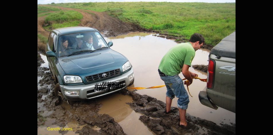 Safari Samaritan