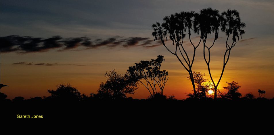 Meru National Park