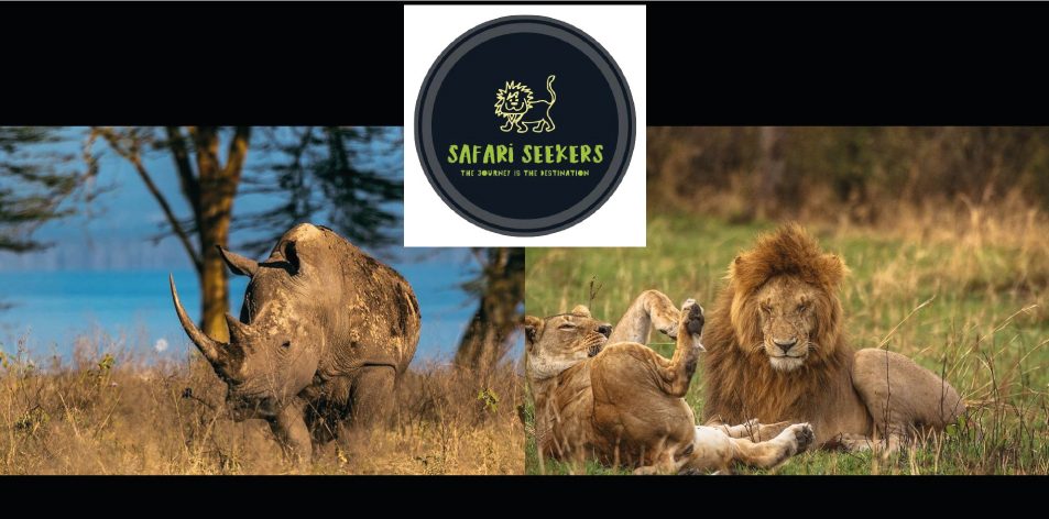 Safari Seekers Ltd- The Journey Is The Destination