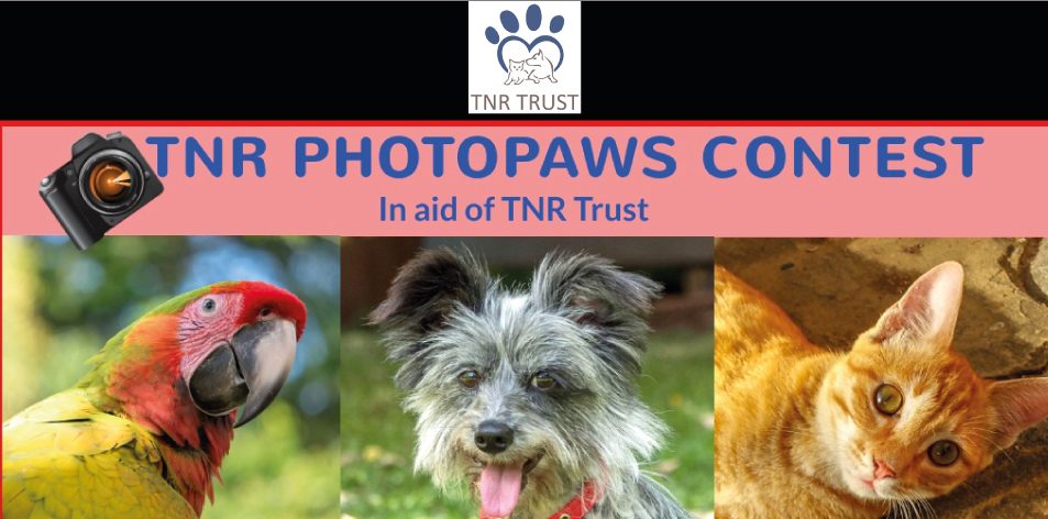 TNR Trust- ENTER THE TNR PHOTOPAWS CONTEST