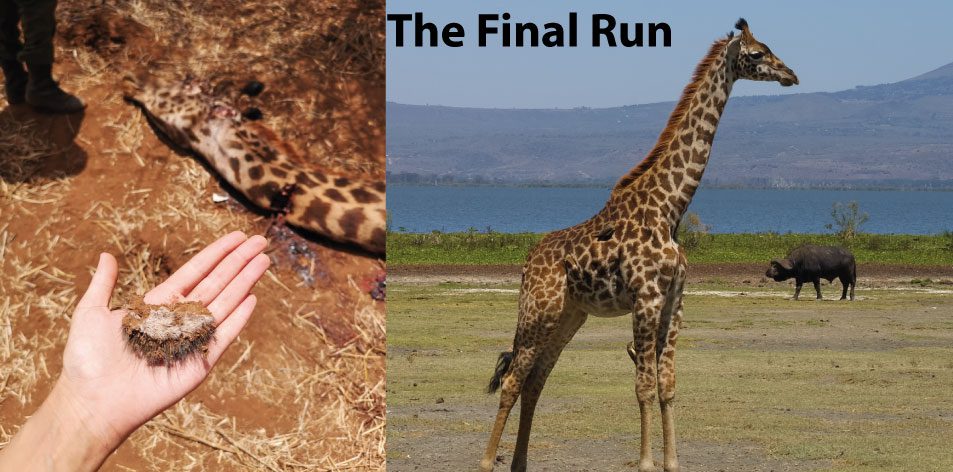 The final run