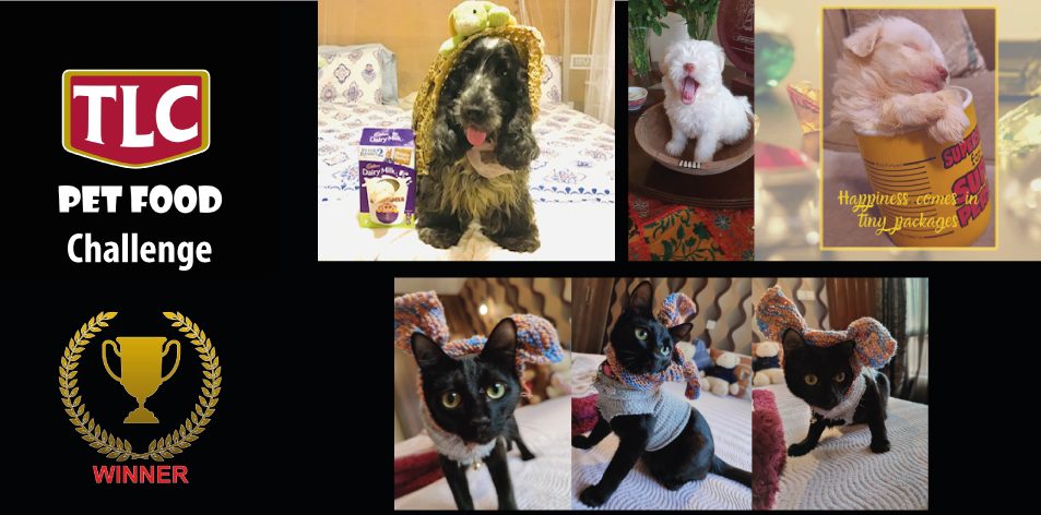 H&S Magazine's Digital Challenge Winners- Easter Pet Challenge- Win A TLC Pet Food Voucher Valued At KES3000!!