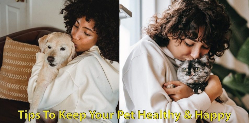 pet healthy & happy