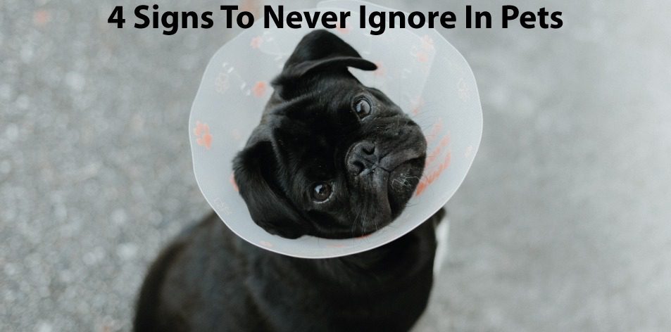 Signs To Never Ignore