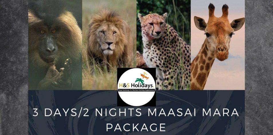 Budget Package Maasai Mara