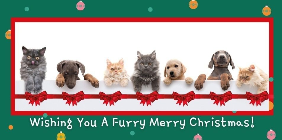 Furry Merry Christmas