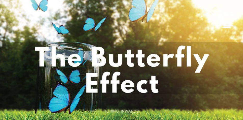 The Butterfly Effect