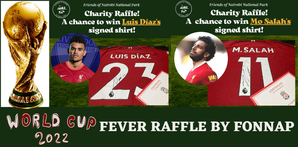 FoNNaP's World Cup 2022 Fever Raffle!!!