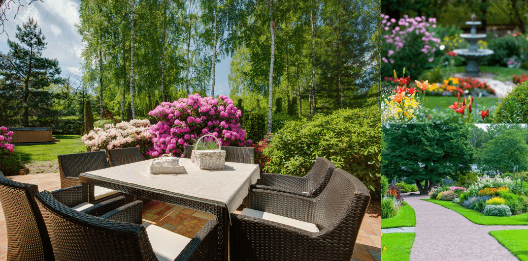 10 Tips for Beautifying Your Bare Garden: From Drab to Fab!