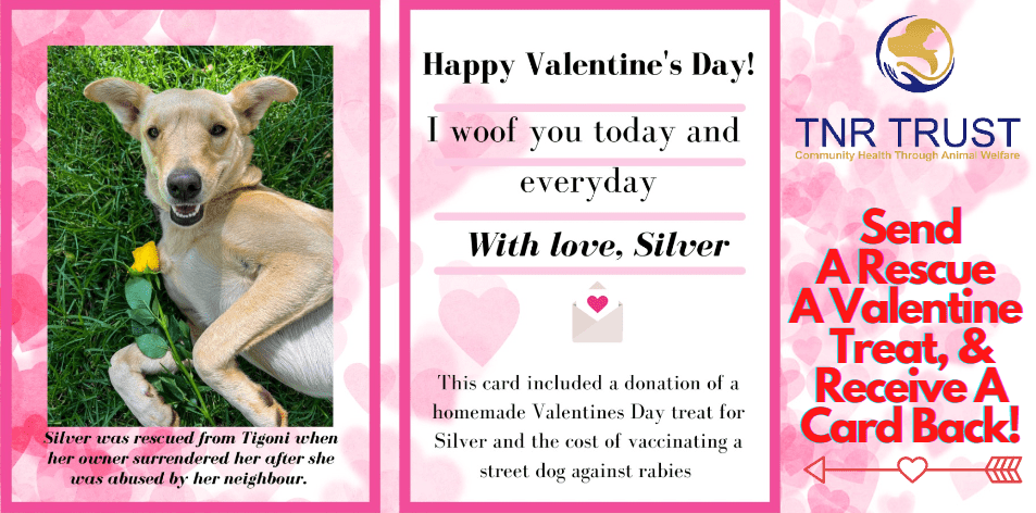 TNR Trust - Happy Valentine's Day!