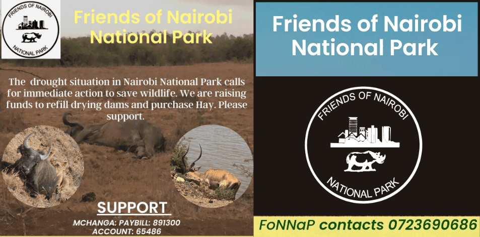 FoNNaP Help Save The Kenyan Wildlife From Drought!!