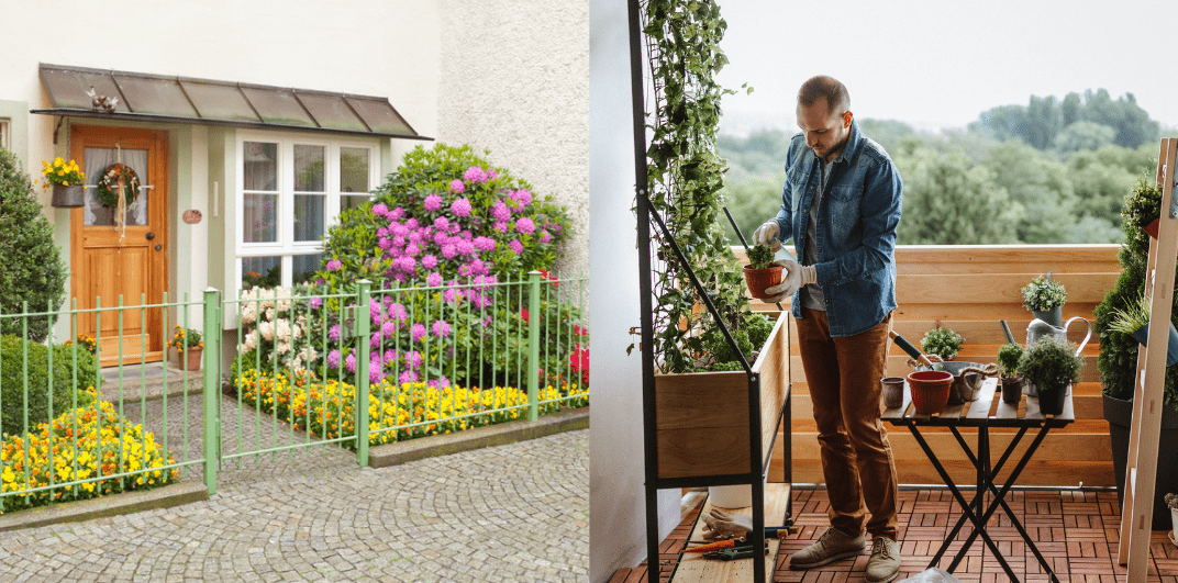 How to Create a Beautiful and Functional Garden in a Small Space