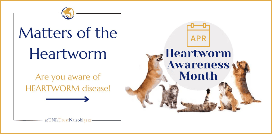 TNR Trust - It's Heartworm Awareness Month!