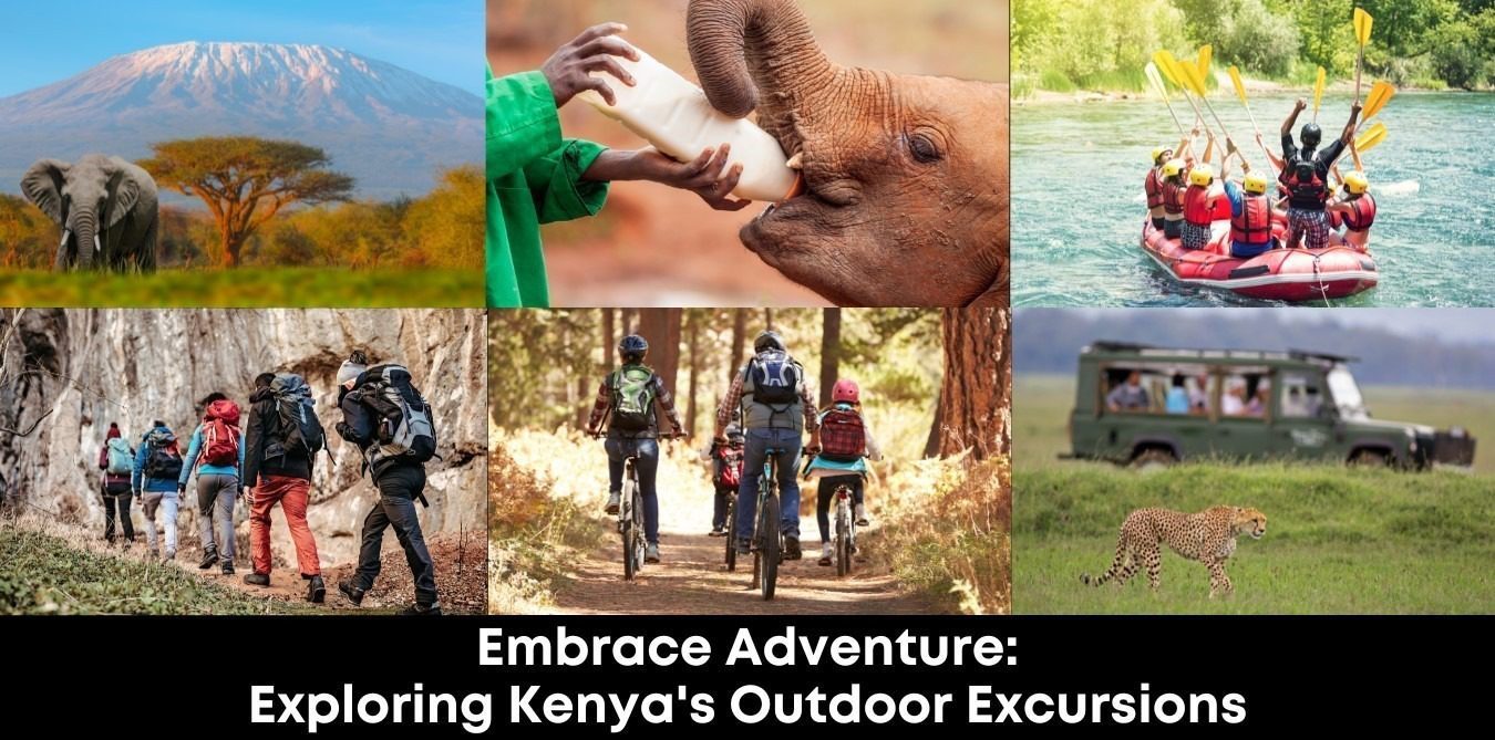 Embrace Adventure: Exploring Kenya's Outdoor Excursions