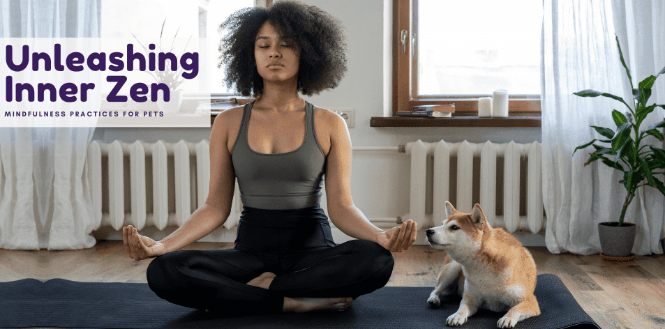 Unleashing Inner Zen: Mindfulness Practices For Pets - H&S Pets Galore