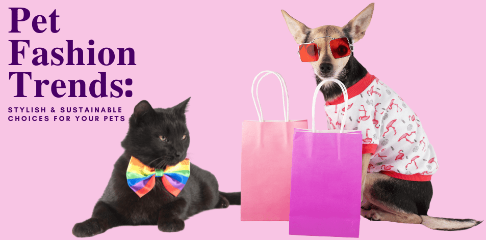 Pet Fashion Trends: Stylish & Sustainable Choices For Your Pets - H&S Pets Galore