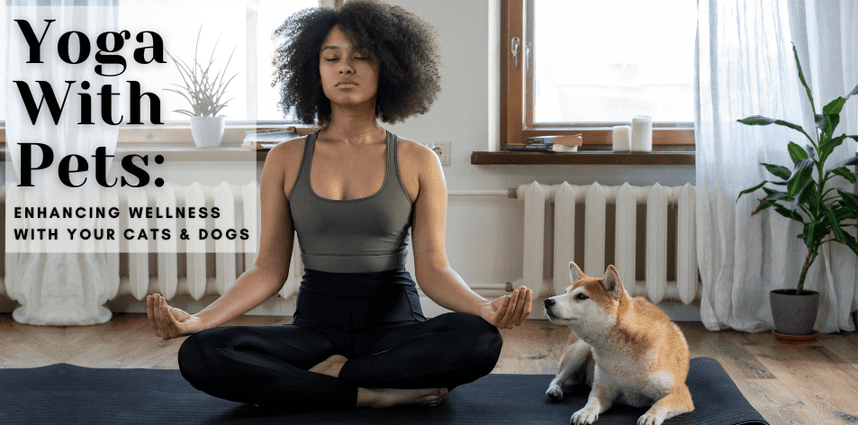 Yoga With Pets: Enhancing Wellness With Your Cats & Dogs - H&S Pets Galore