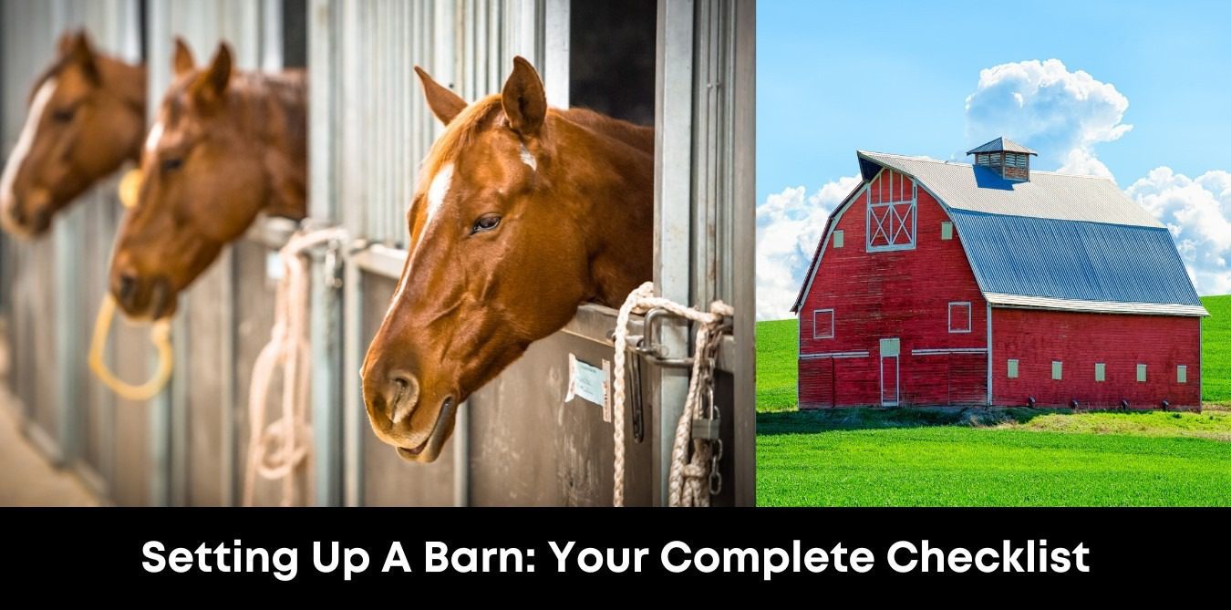 Setting Up a Barn: Your Complete Checklist