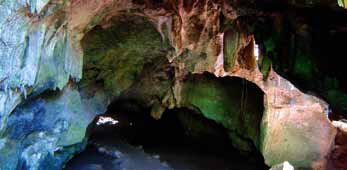 Shimoni Sacred Grove Caves