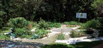 Nairobi Botanical Garden