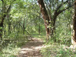 Oloolua Nature Trail
