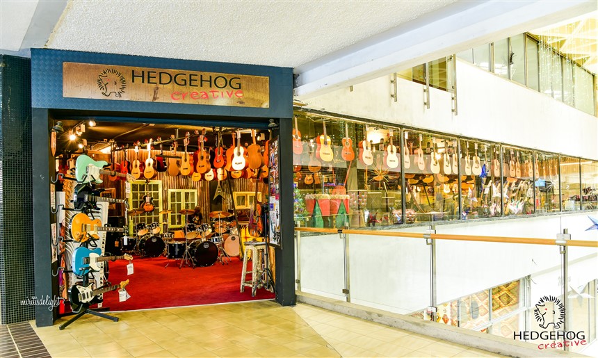 Hedgehog Creative Music Shop Sarit Centre