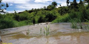 Nairobi Lakes