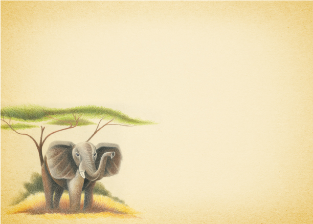 Zawadi Elephant MAKE LIFE MAGICAL with Life’s Little Magical Formulas by Zoya.