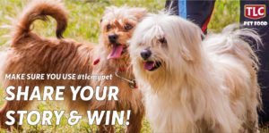 H&S Play & Win- TLC Pet Food- What makes your Pet Special?