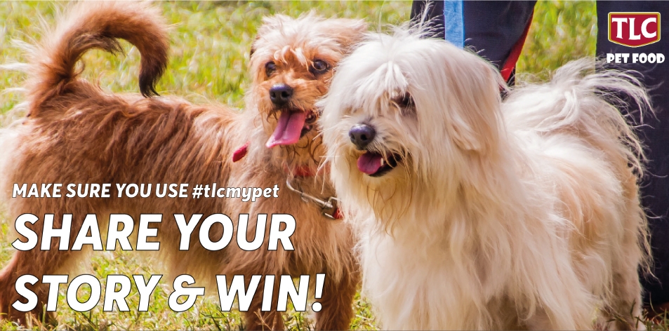 H&S Play & Win- TLC Pet Food- What makes your Pet Special?