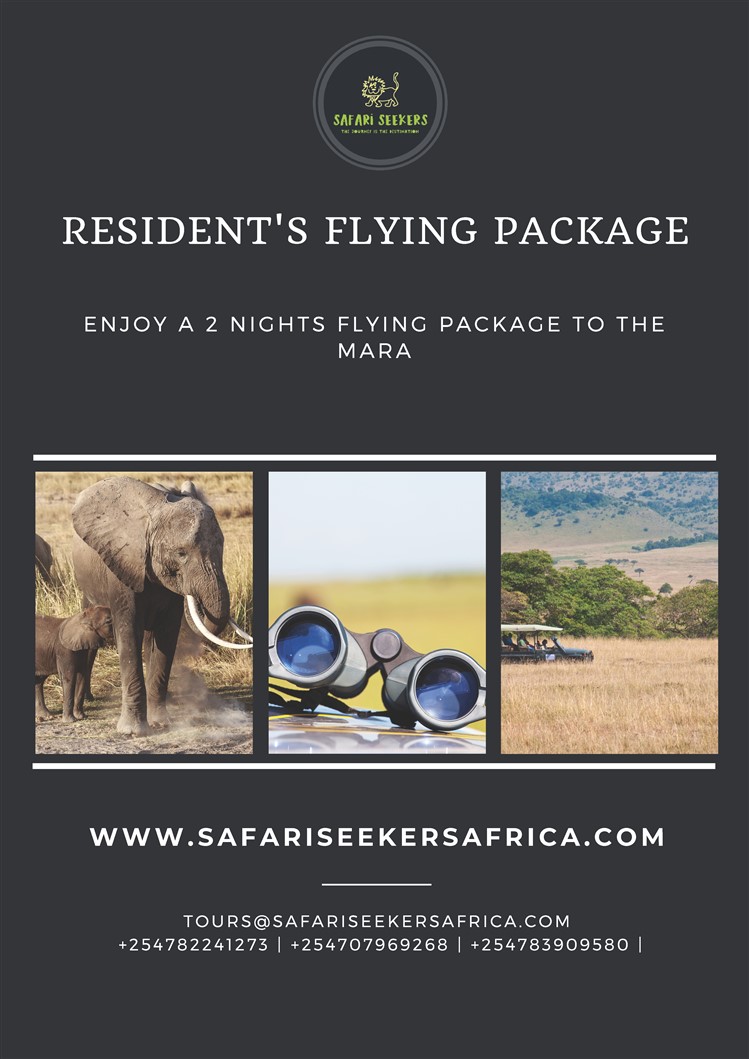 Safari Seekers- The Journey Is The Destination