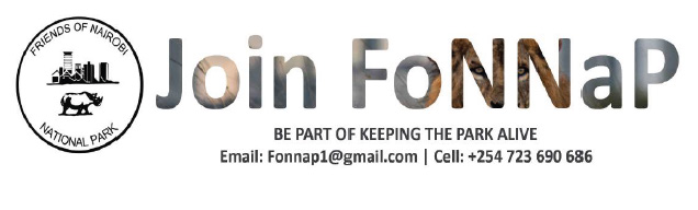 32nd Edition Of FoNNaP