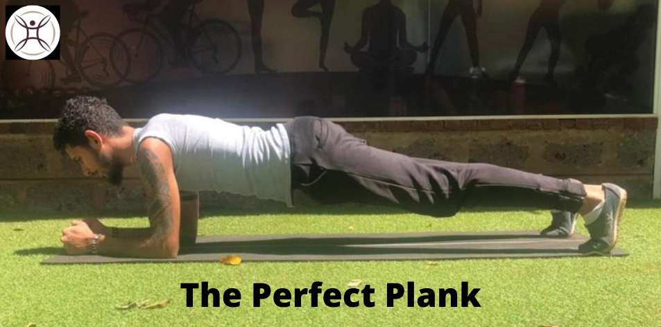 perfect plank