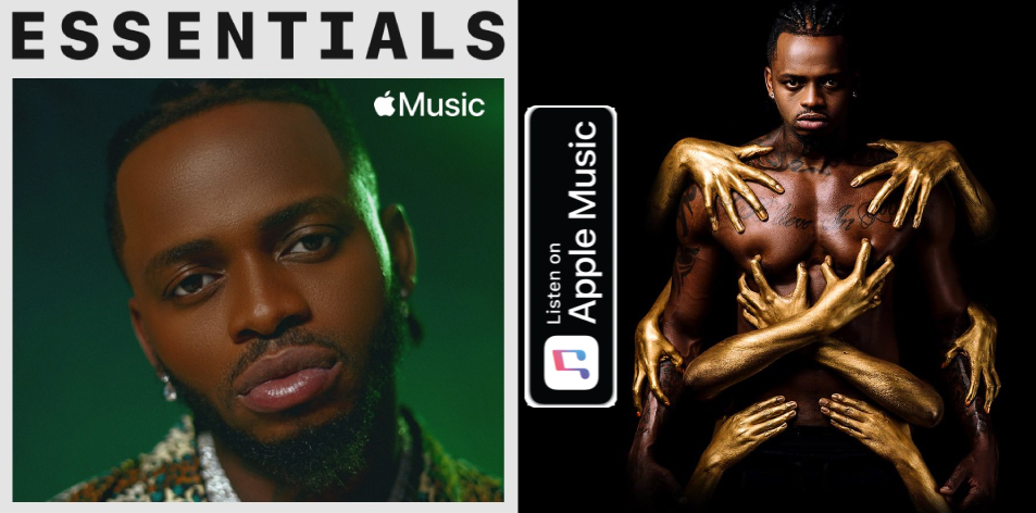 Apple Music- H&S Magazine's Best Artist Of The Week- Diamond Platnumz Essentials