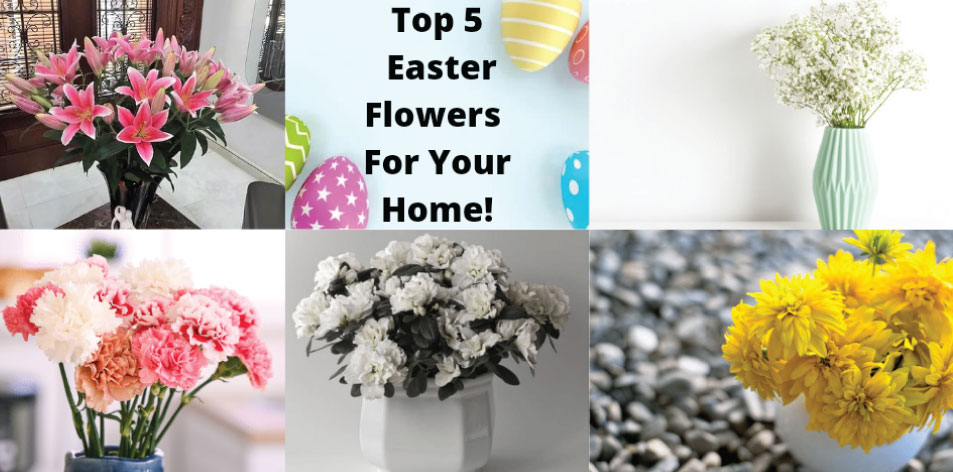 Top 5 Easter flowers
