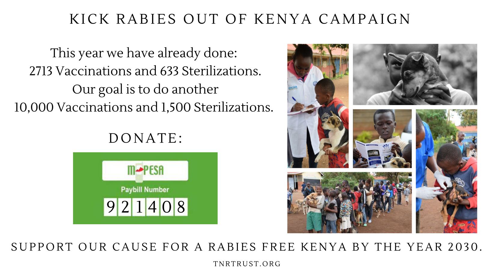 Support Our Cause For Rabies Free Kenya By 2030