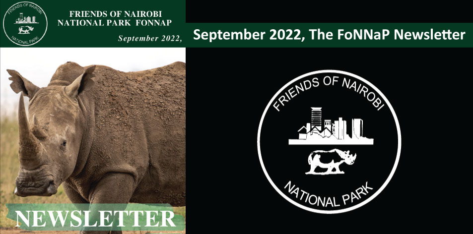 September 2022, The FoNNaP Newsletter Is Out Now!