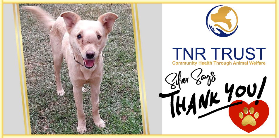 TNR Trust - Silver Says Thank You!!