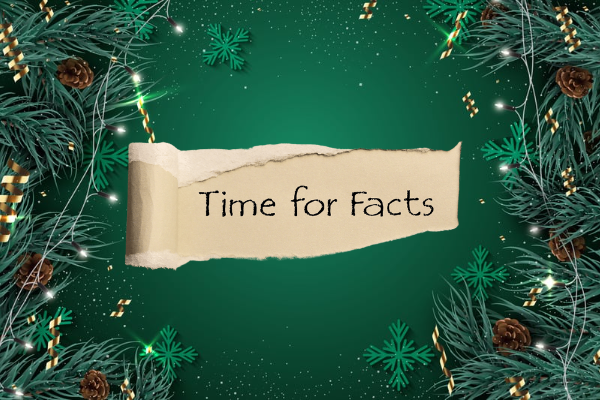 10 Fun Christmas Facts For The Kids!