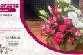 Brighten up Your Day With Beautiful Flowers From J.K. Florists