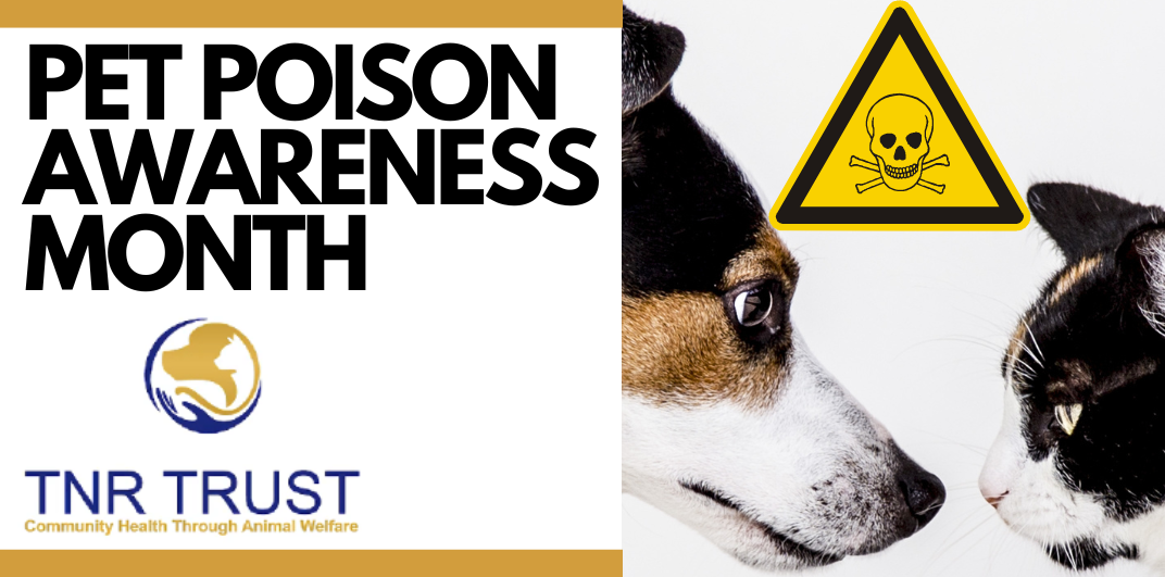 TNR Trust - Poison Awareness Month