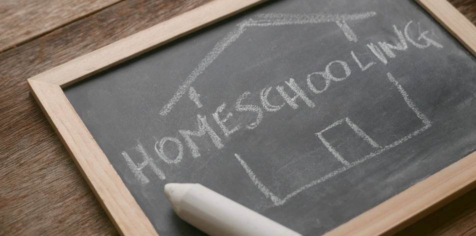 The Pros And Cons Of Homeschooling - H&S Education & Parenting