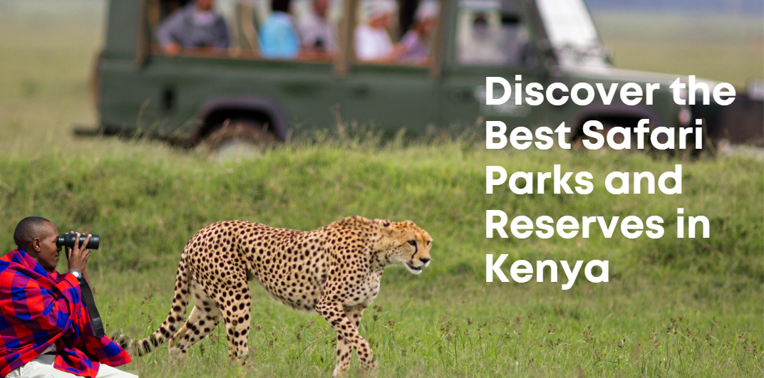 The Top Safari Experiences in Kenya: Get Ready for a Wild Adventure!