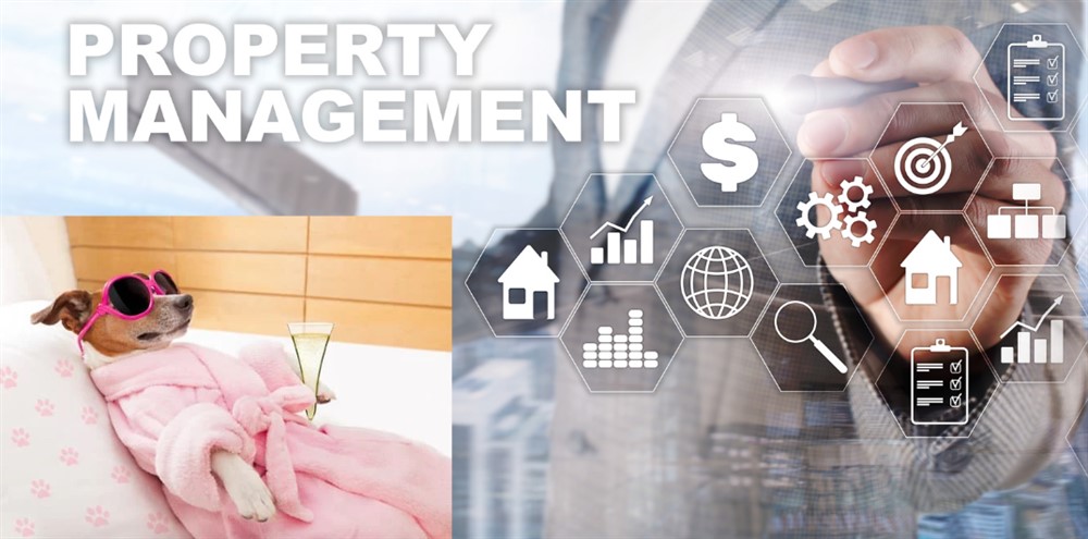 Is It Time To Hire A Property Management Company?