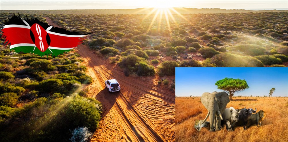Off-Roading Adventures in Kenya: Explore the Best Locations for Thrilling Off-Road Experiences