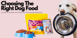 Choosing The Right Dog Food - H&S Pets Galore