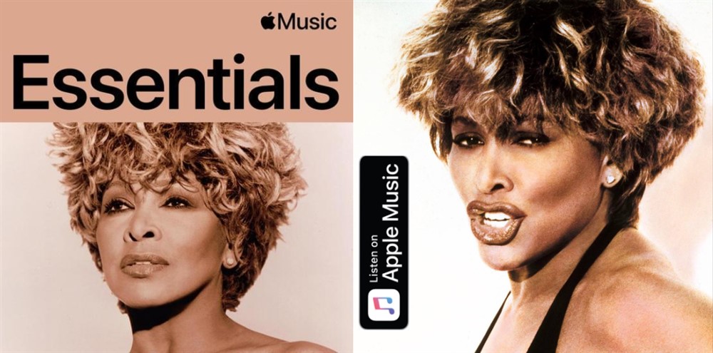 Honoring the Queen of Rock 'n' Roll: A Tribute to Tina Turner's Timeless Legacy
