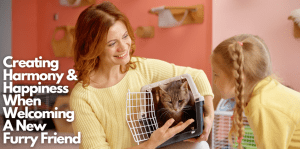 Introducing A New Pet To Your Household - H&S Pets Galore