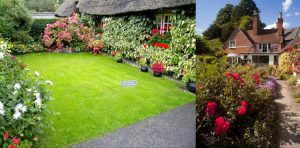 Transform Your Outdoor Space: Embrace the Charm of a Cottage Garden