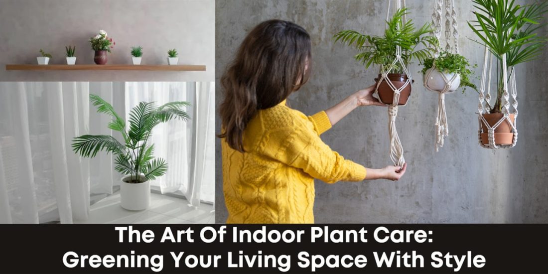 The Art of Indoor Plant Care: Greening Your Living Space with Style